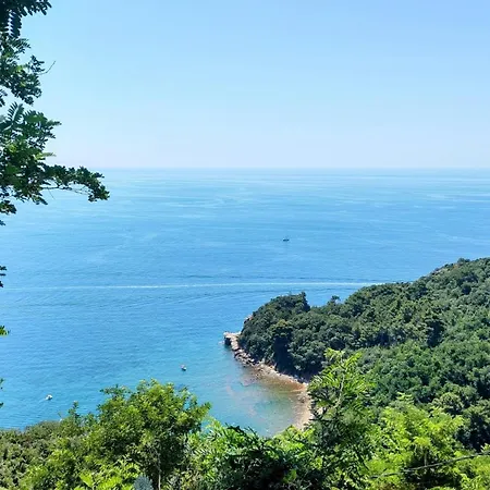 High Budva